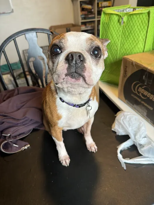 Orchard View Veterinary Center 12
