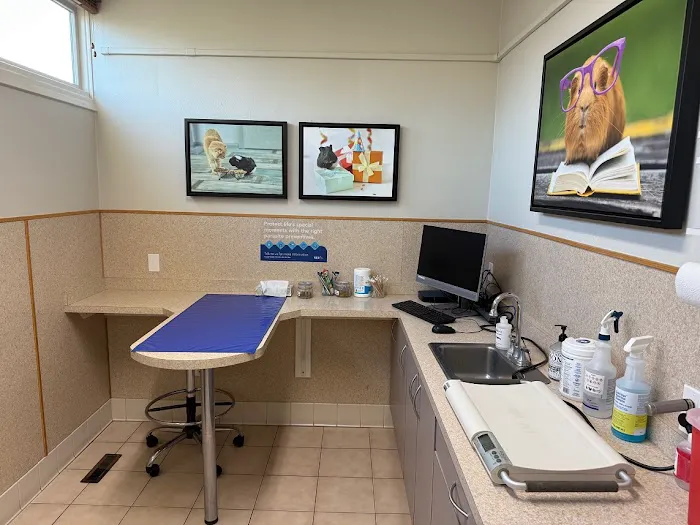 VCA River Road Animal Clinic 12