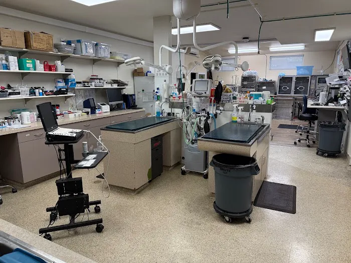 VCA River Road Animal Clinic 12