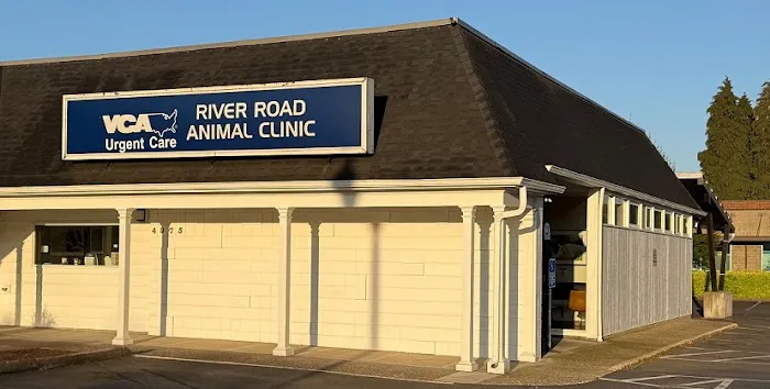VCA River Road Animal Clinic 12