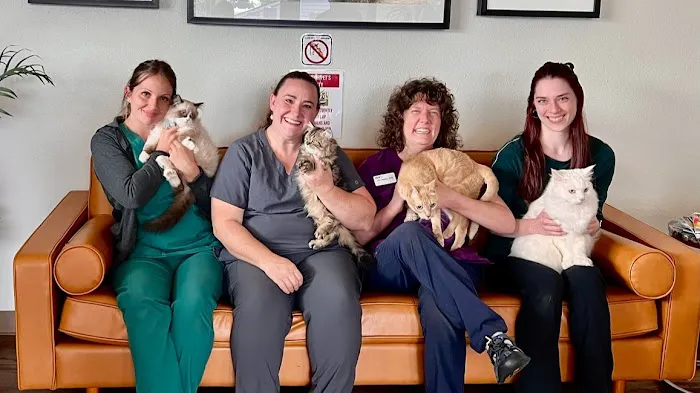 VCA River Road Animal Clinic 12
