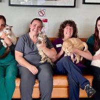 VCA River Road Animal Clinic ico
