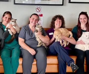 VCA River Road Animal Clinic