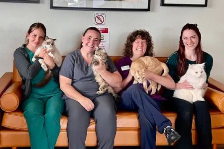 VCA River Road Animal Clinic