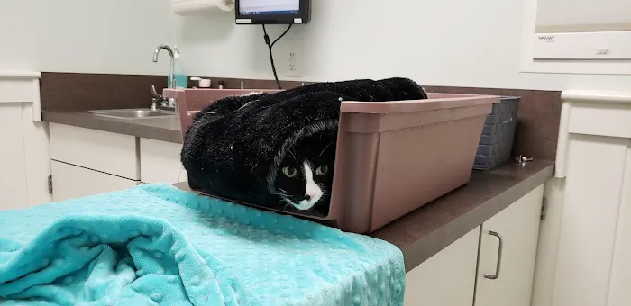 VCA Keizer Veterinary Hospital 12