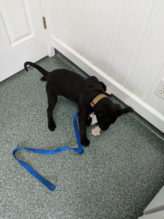 VCA Keizer Veterinary Hospital 12