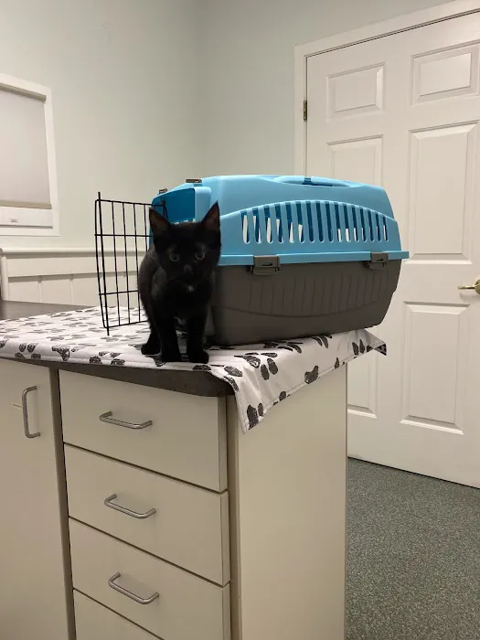 VCA Keizer Veterinary Hospital 12
