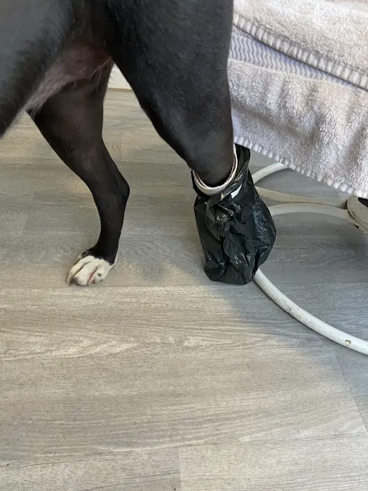 Capitol Veterinary Clinic 12