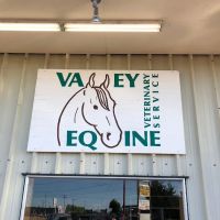 Valley Equine Veterinary Service Inc ico