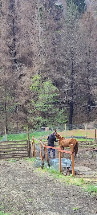 Valley Equine Veterinary Service Inc 3