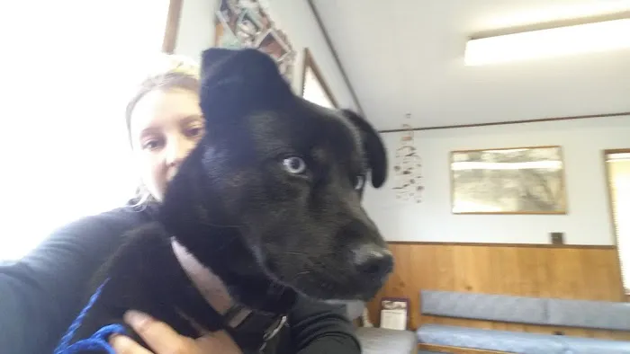 McMinnville Veterinary Hospital 3