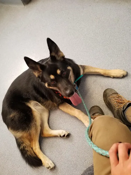 McMinnville Veterinary Hospital 1