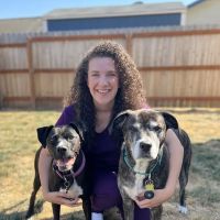 Faithful Friends Animal Clinic ico