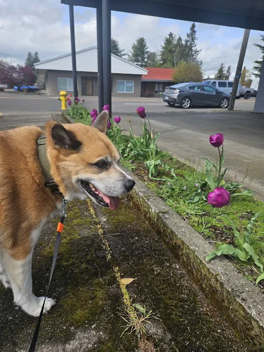 Paws Animal Hospital 7