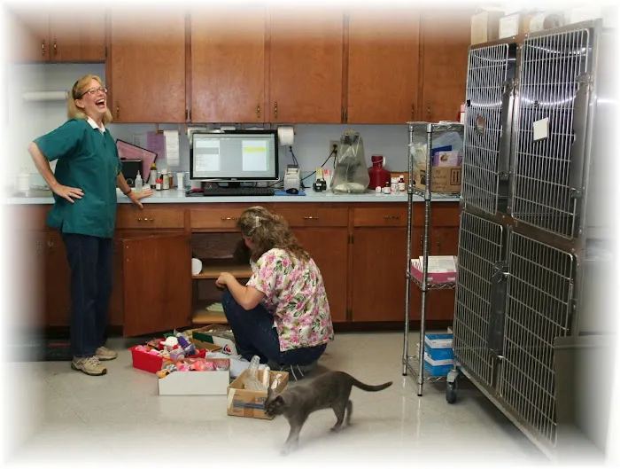 Periwinkle Pet Clinic 4