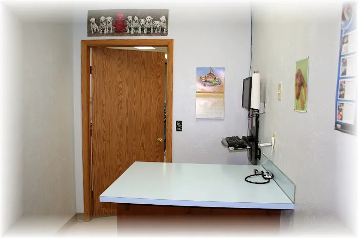 Periwinkle Pet Clinic 5