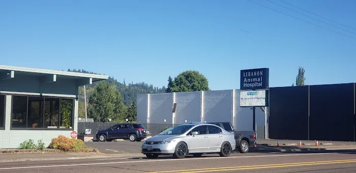 Lebanon Animal Hospital PC 2