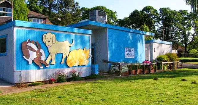 Neighborhood Animal Hospital 12