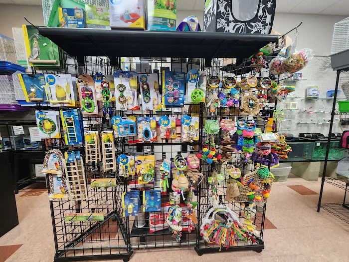 Noah's Ark Pet Shoppe 9