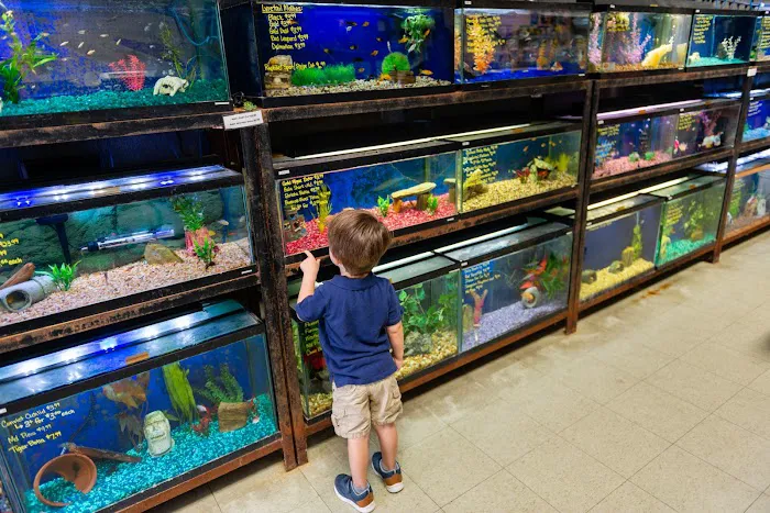 Noah's Ark Pet Shoppe 7