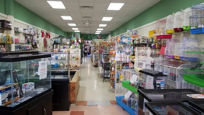 Noah's Ark Pet Shoppe 4