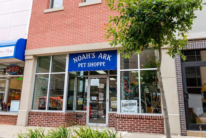 Noah's Ark Pet Shoppe 8