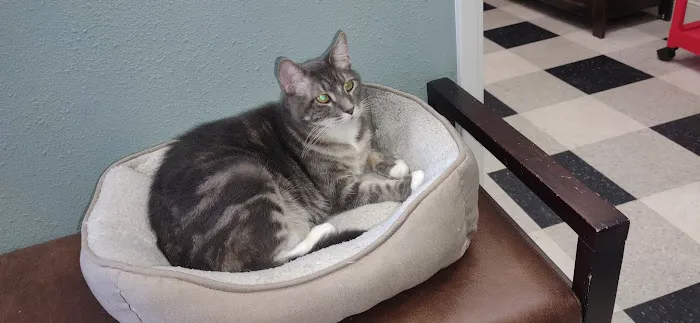 Liberty Animal Hospital 12
