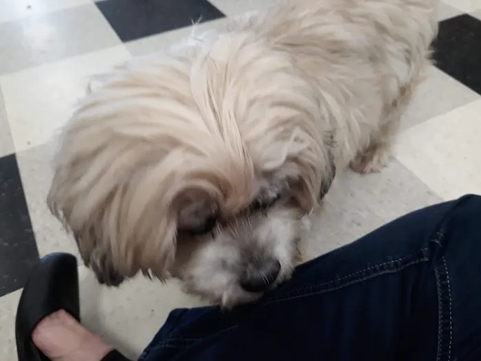 Liberty Animal Hospital 12