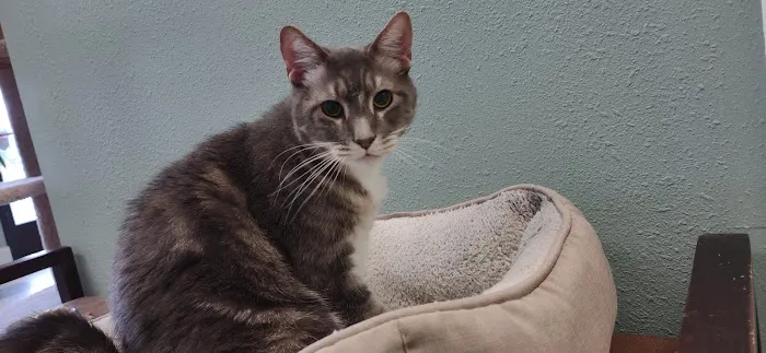 Liberty Animal Hospital 12