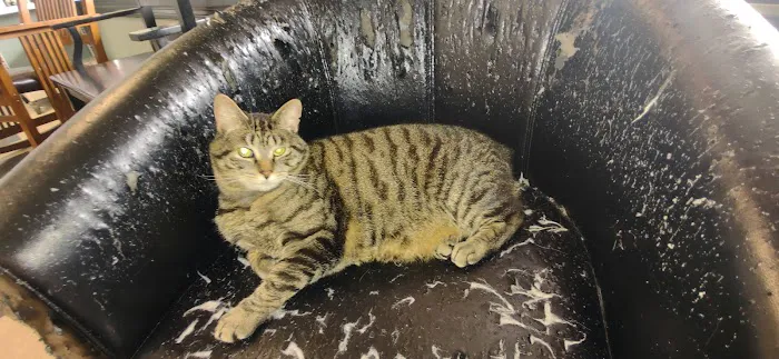 Liberty Animal Hospital 12