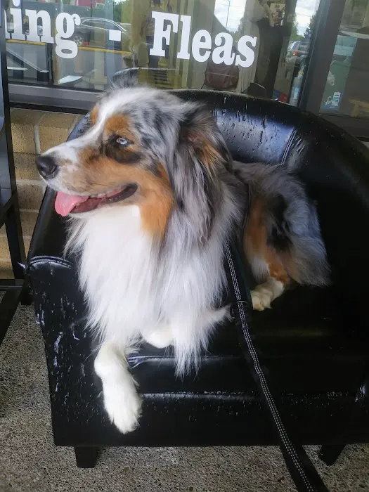 Liberty Animal Hospital 12