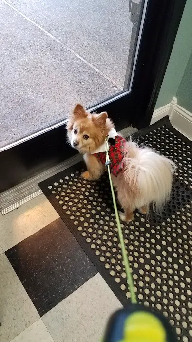 Liberty Animal Hospital 12