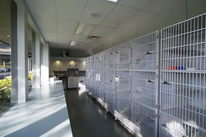 VCA Salem Animal Hospital 12