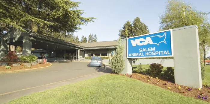 VCA Salem Animal Hospital 12