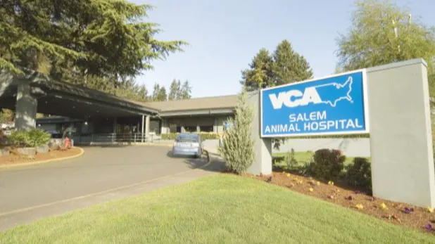 VCA Salem Animal Hospital 12