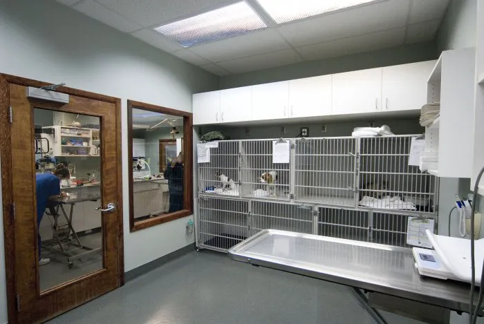 VCA Salem Animal Hospital 12