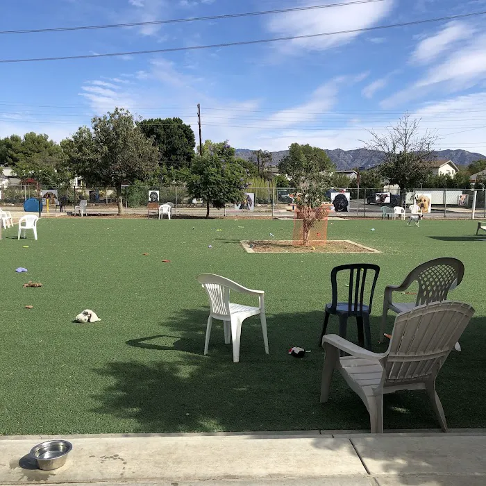 Low Cost Pet Vaccines Whitnall Off Leash Dog Park 12