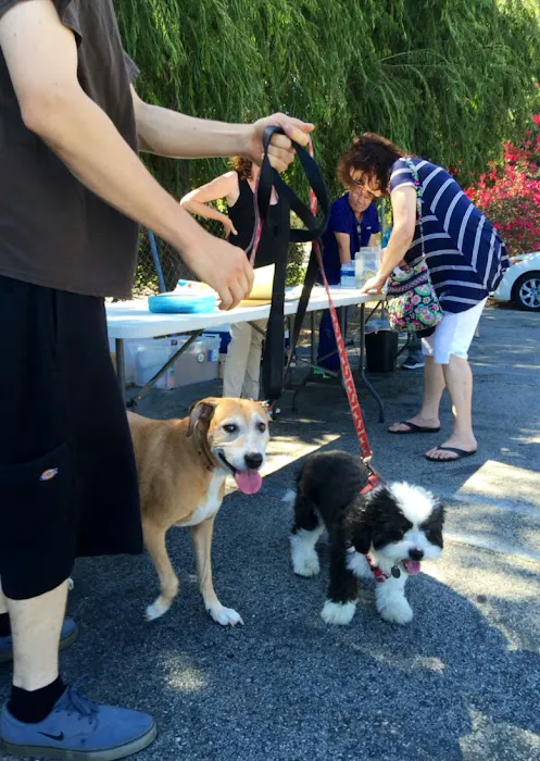Low Cost Pet Vaccines Whitnall Off Leash Dog Park 12
