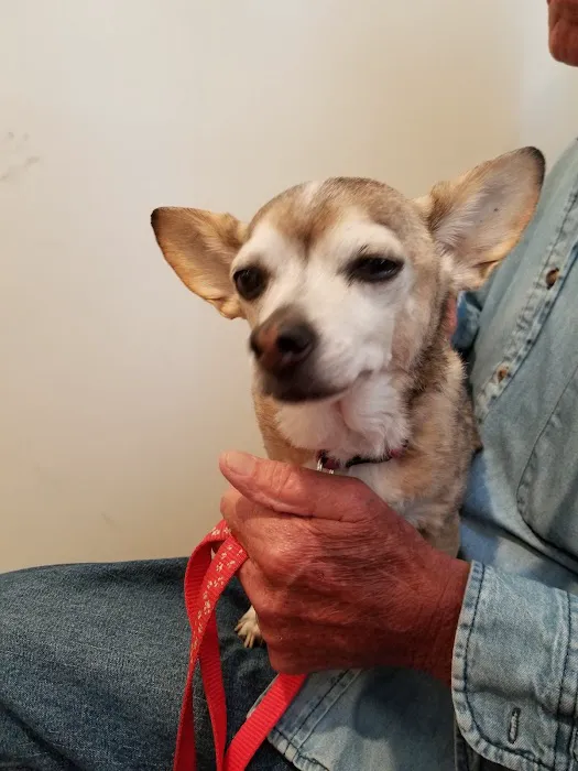 Berkley Pet Hospital 4