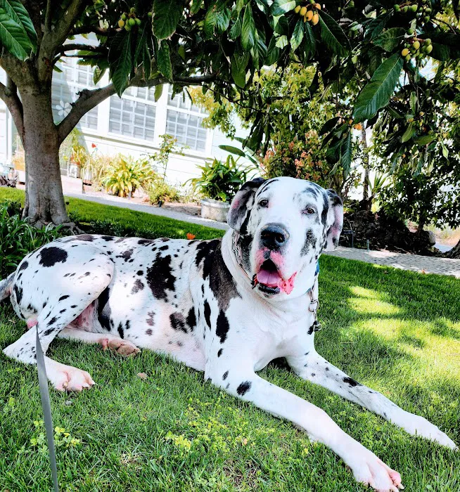 Berkley Pet Hospital 10