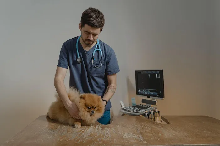Blue Cross Pet Hospital 8