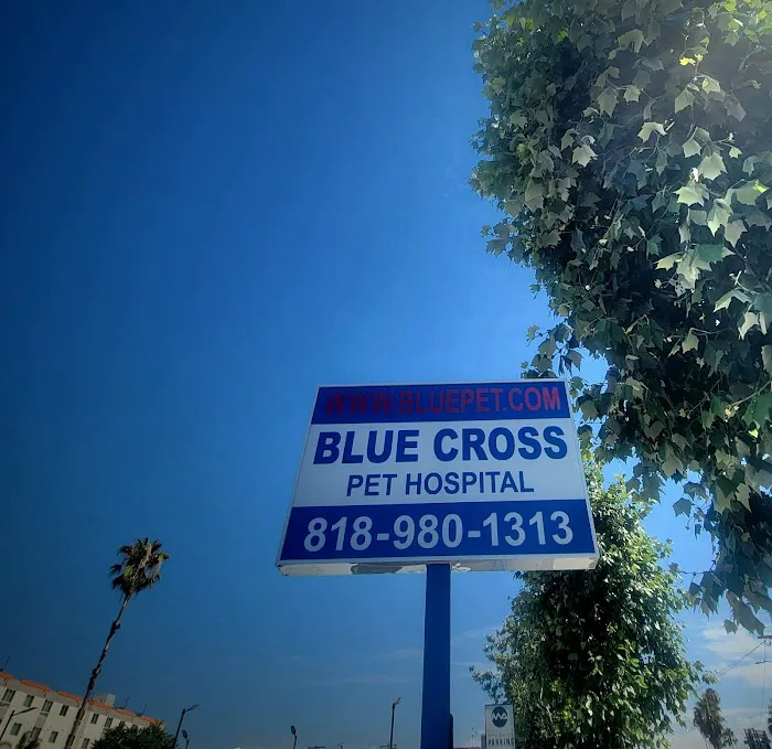 Blue Cross Pet Hospital 1