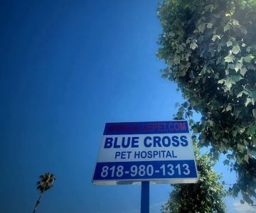 Blue Cross Pet Hospital