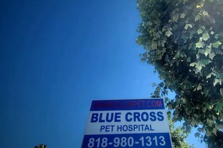 Blue Cross Pet Hospital