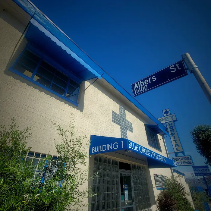 Blue Cross Pet Hospital 2