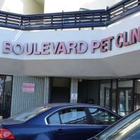 Boulevard Pet Clinic ico