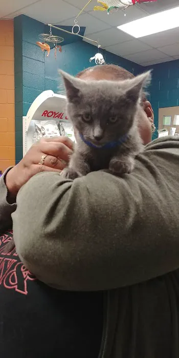 Boulevard Pet Clinic 2