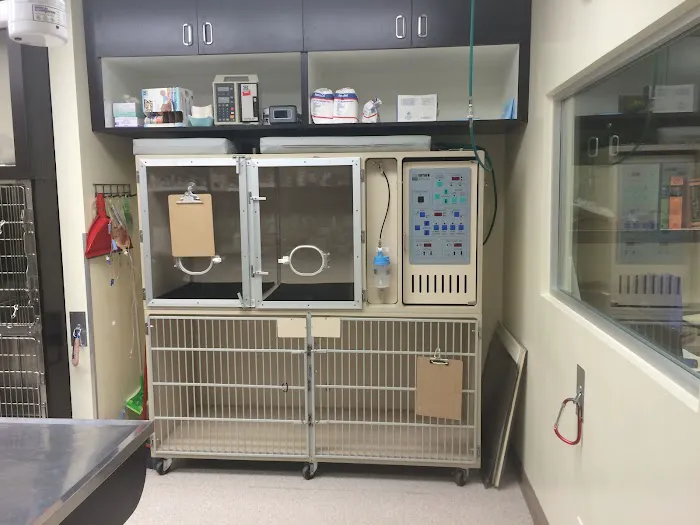 Veterinary Medical Center 8