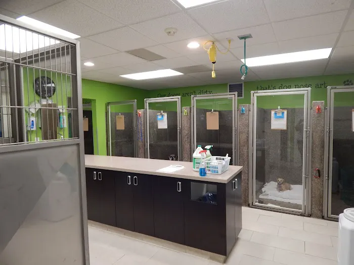 Veterinary Medical Center 1