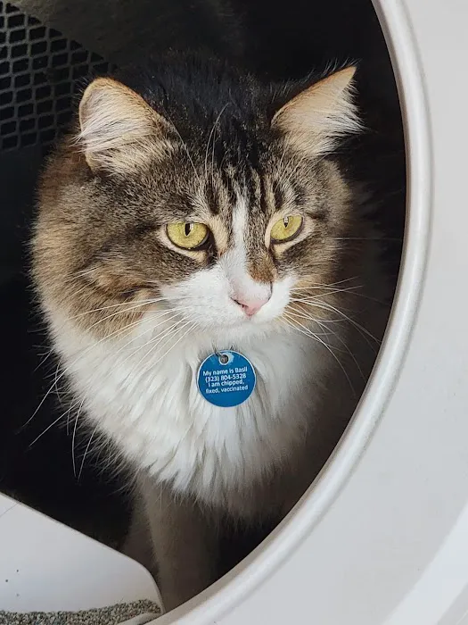 TrueCare for pets 5